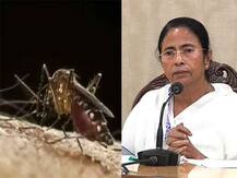 ইউপি, গুজরাত, মহারাষ্ট্রের তুলনায় এ রাজ্যে ডেঙ্গির প্রভাব খুবই কম, মুখ্যমন্ত্রীর এই দাবির পাল্টা বিজেপি, তথ্য চাপার চেষ্টা