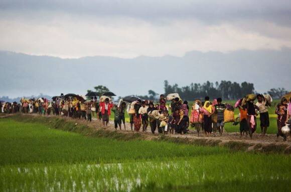 Thousands More Rohingya Muslims Cross Border Into Bangladesh মায়ানমার থেকে বাংলাদেশে আরও কয়েক হাজার রোহিঙ্গা শরণার্থী