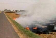 বাতাসে দূষণ, চোখ জ্বালা, বুকে ব্যথা, নিঃশ্বাসের সমস্যা হচ্ছেই, বাঁচতে এই খাবারগুলো খান