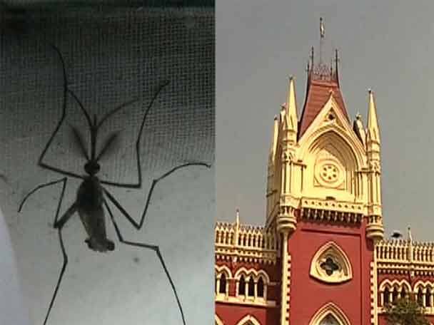 HC slams State on Dengue issue ডেঙ্গিতে মৃত্যুর সংখ্যা নিয়ে ভর্ত্সনা হাইকোর্টের, রাজ্যকে চ্যালেঞ্জ করে নতুন তথ্য মামলাকারীর