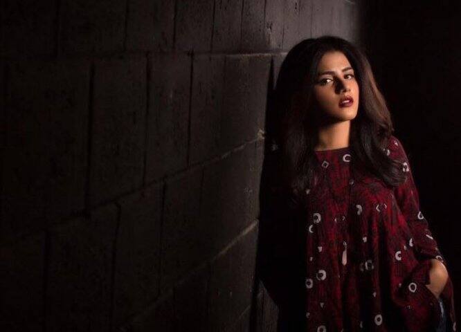 এই নিয়ে ইমরান খান ও আয়েষা গুলালির মধ্যে বিবাদমান রাজৈনিতক লড়াইয়ে মধ্যে প্রাক্তন ক্রিকেটারের বিরুদ্ধে টুইটারে কু-কথা বলেন এই গায়িকা-অভিনেত্রী।