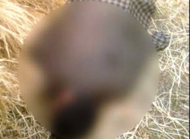 Jammu and Kashmir: Bullet-ridden body of 23-year-old army jawan recovered in Shopian অপহরণ করে খুন  জঙ্গিদের, কাশ্মীরের সোপিয়ানে উদ্ধার সেনা অফিসারের বুলেটবিদ্ধ দেহ