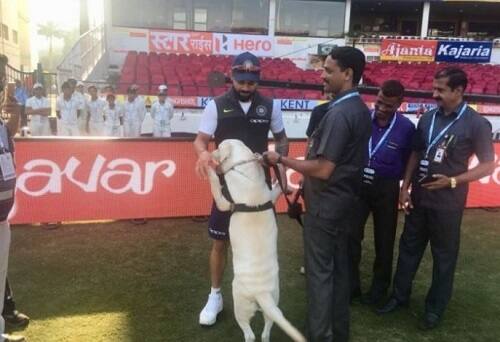 আজ সকালে খেলা শুরু হওয়ার আগে ওয়ার্মআপ করার সময় ফের সারমেয় প্রেমের পরিচয় দিলেন ভারতের অধিনায়ক বিরাট কোহলি