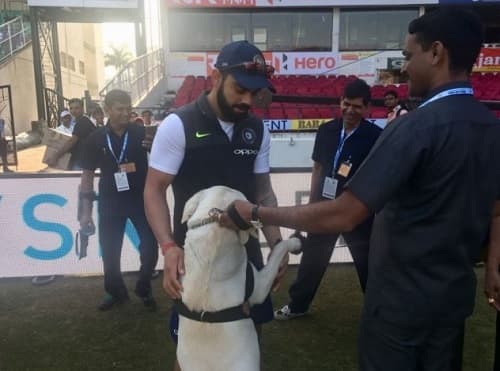 একটি কুকুরের গায়ে হাত বুলিয়ে আদরও করে দেন ভারতের অধিনায়ক