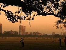 ঘূর্ণাবর্তের জেরে কলকাতায় কুয়াশার দাপট, তাপমাত্রা সামান্য বেড়েছে, তবে জেলায় ঠান্ডা অব্যাহত