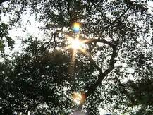 অবশেষে বড়দিনে নামল পারদ, আগামী ২৪ ঘণ্টা তাপমাত্রা একই থাকার পূর্বাভাস