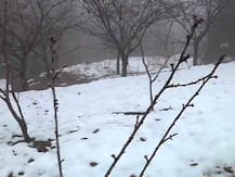 বড়দিনের পর বাড়ল রাজ্যের তাপমাত্রা, অথচ ঠাণ্ডায় কাঁপছে কাশ্মীর, কার্গিলে পারদ নামবে মাইনাস ৩০