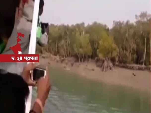 ভিডিওতে দেখুন: নববর্ষে সুন্দরবনে বেড়াতে গিয়ে বাঘ দর্শন পর্যটকদের Tourists witness Tiger at sunderbans ভিডিওতে দেখুন: নববর্ষে সুন্দরবনে বেড়াতে গিয়ে বাঘ দর্শন পর্যটকদের