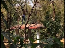 āĻĻā§āĻā§āύ: \'āĻĻā§āĻŦāĻžāĻĻā§āĻļ\' āĻĒā§ā§ā§ \'āϏāĻŦāĻ āĻļā§āĻāĻžāϤā§\' āϏāĻŋāĻāĻšā§āϰ āĻĄā§āϰāĻžā§ āĻĸā§āĻā§ āĻĒāĻĄāĻŧāϞā§āύ āĻāĻ āĻŦā§āϝāĻā§āϤāĻŋ, āĻšā§āϞā§āϏā§āĻĨā§āϞ⧠āĻāύā§āĻĻā§āϰā§āϰ āĻāĻŋāĻĄāĻŧāĻŋā§āĻžāĻāĻžāύāĻžā§