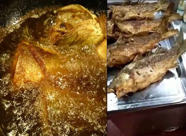 Bizarre: Deep-fried fish comes alive on serving tray ভালো করে ভাজা মাছ আচমকা নড়ে উঠল সার্ভ করার ট্রেতে, আতঙ্কে চিতকার ক্রেতাদের