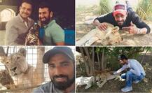 দেখুন! তৃতীয় টেস্টের আগে টিম ইন্ডিয়ার জঙ্গল সাফারি