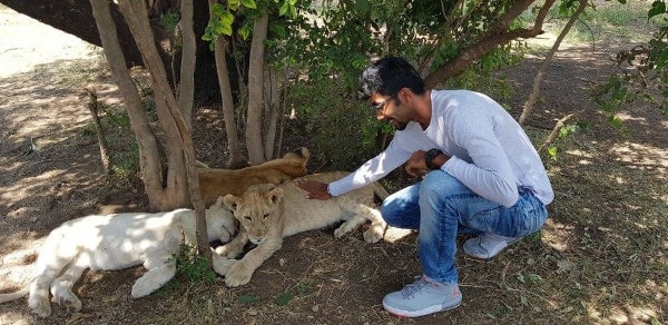 বাঘের ছানাদের সঙ্গে জশপ্রীত বুমরাহ। 