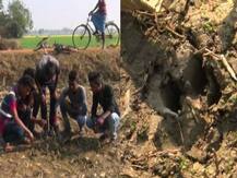 খাঁচার টোপ কাজে আসেনি, ফের বাঘের থাবার ছাপ, সিঁটিয়ে বীরভূমের মল্লারপুর