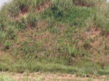 মহাভারতের যুগের বারণাবত! বাঘপতে খননে সায় এএসআইয়ের