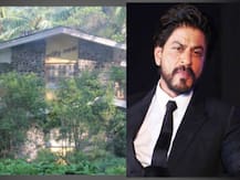 আলিবাগের বাংলো নিয়ে বেকায়দায় শাহরুখ, বেআইনি সম্পত্তি, বলছে আয়কর দফতর