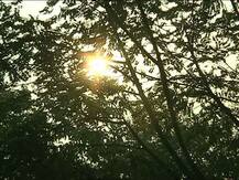 বায়ুমন্ডলে ঢুকছে মেঘ, বেড়েছে সর্বনিম্ন তাপমাত্রা, সপ্তাহ শেষে বৃষ্টির পূর্বাভাস