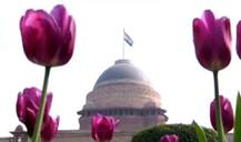 দর্শকদের জন্য খোলা রাষ্ট্রপতি ভবনের মুঘল গার্ডেন, এ বছরের বিশেষত্ব কী জানুন