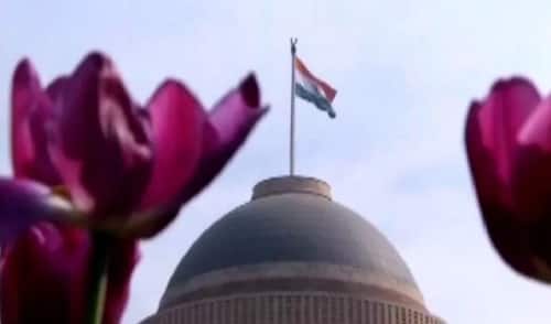 এ বছর মুঘল গার্ডেনে উদ্যানোৎসবের বিশেষত্ব হল, আটটি ভিন্ন রঙের টিউলিপ ফুল। নেদারল্যান্ডস থেকে এনে জানুয়ারি মাসের প্রথম সপ্তাহে এই ফুলগুলির চারা লাগানো হয়েছিল। ফেব্রুয়ারি মাসের শেষ সপ্তাহে ফুলগুলি ফুটে যাবে বলে আশা করা হচ্ছে। প্রায় ১০ হাজার টিউলিপ ফুটবে বলে জানা গিয়েছে