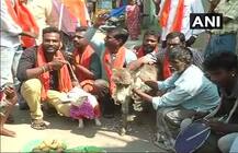 ভ্যালেন্টাইন্স ডে: নীতি পুলিশগিরি অব্যাহত, চেন্নাইয়ে গাধা-কুকুরের বিয়ে