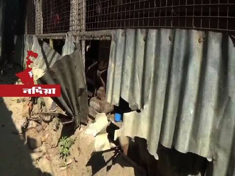 সাড়ে চার বছরের শিশুকে যৌন নির্যাতন, অভিযুক্ত খেলার সাথীর বাবা