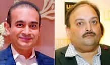 মেহুল চোকসির মালিকানাধীন ১৮টি সংস্থার ব্যালান্স শিট খতিয়ে দেখছে সিবিআই