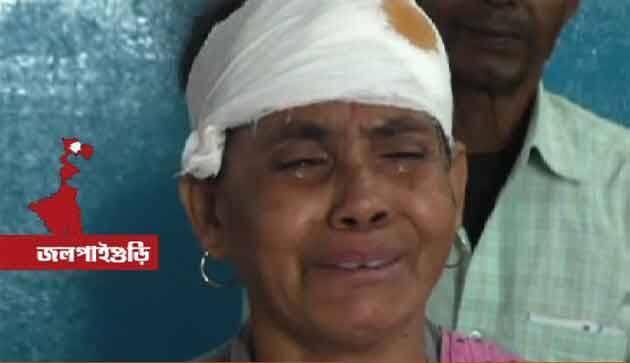 Youth beats mother for property সম্পত্তির লোভে মাকে ‘মেরে মাথা ফাটিয়ে’ দিল ছেলে