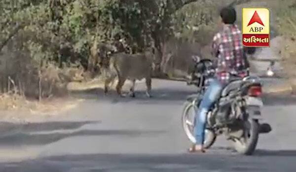 বাইক চালাতে চালাতে আচমকাই এক ব্যক্তির সামনে দিয়ে চলে গেল সে
