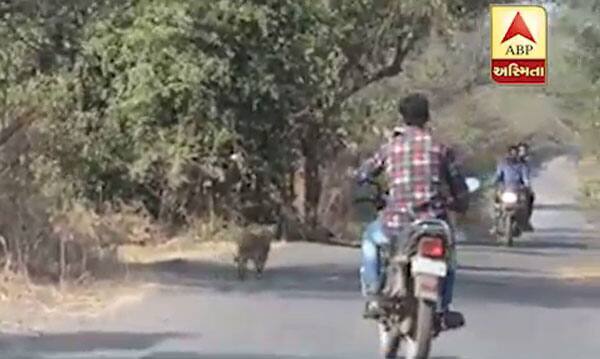 দেখুন সেই ছবিগুলো