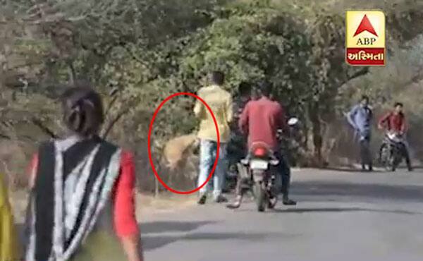 দেখুন সেই ছবিগুলো