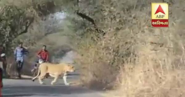 দেখুন সেই ছবিগুলো