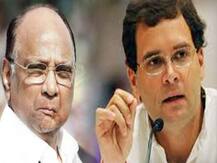 ঐক্যবদ্ধ লড়াইয়ের প্রস্তুতি? বিশেষ বৈঠকে রাহুল গাঁধী, শরদ পওয়ার