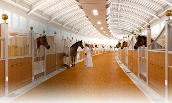 A 5-star resort for horses in Qatar which houses all the luxuries এবার ঘোড়াদের জন্য পাঁচতারা রিসর্ট কাতারে