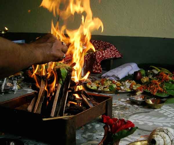 Burning 50,000 kg of mango wood reduce pollution! havan being held in uttar pradesh বায়ুদূষণ রুখতে ৫০ হাজার কেজি আমগাছের কাঠ পুড়িয়ে মহাযজ্ঞ উত্তরপ্রদেশে!