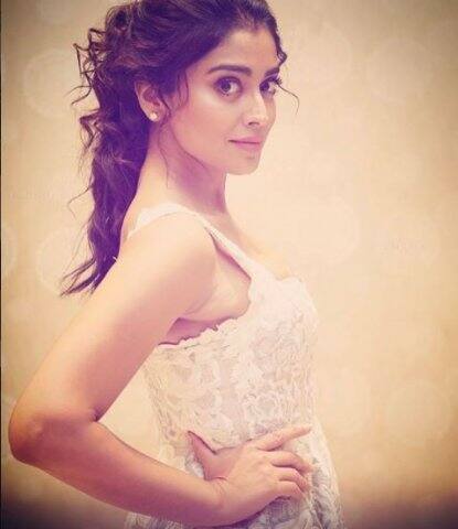 শ্রিয়া সরণকে দেখা গিয়েছে রজনীকান্তের সঙ্গে শিবাজি দ্য বসে। অজয় দেবগনের সঙ্গে দৃশ্যমেও কাজ করেছেন তিনি। 