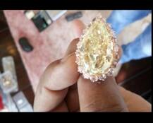 নীরবের মুম্বইয়ের অ্যাপার্টমেন্ট ইডি-সিবিআই তল্লাশি, পাওয়া গেল ১০ কোটির হিরের আংটি সহ প্রচুর অলঙ্কার, কোটি টাকার ঘড়ি, হুসেন ও শের-গিলের পেন্টিং