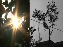 উত্তরবঙ্গে যখন স্বস্তির বৃষ্টি, তখন ঘর্মাক্ত হবে দক্ষিণবঙ্গ, পূর্বাভাস আবহাওয়া দফতরের