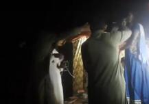 ভয়াবহ ভিডিও: মঞ্চে গানের সময়ই অন্তঃস্বত্ত্বা পাকিস্তানি গায়িকাকে গুলি করে খুন