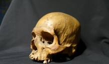 ১৮৫৭-র বিদ্রোহের সিপাহির খুলি ভারতে ফিরিয়ে সমাহিত করা হোক, চাইছেন ইংল্যান্ডের ইতিহাসবিদ