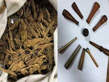 শহরের বিভিন্ন পার্টিতে এসকর্ট সার্ভিসের মাধ্যমে মাদক-পাচারের ছক, এনসিবির হাতে পাকড়াও লক্ষাধিক টাকার এলএসডি-সহ ৪