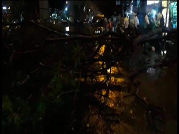  অশোকা সিনেমা হলের উল্টোদিকে ভেঙে পড়ল গাছ। পথচারীর মাথার ওপর ভেঙে পড়ল গাছ। বিদ্যাসাগর হাসপাতালে নিয়ে যাওয়ার পর মৃত্যু।
