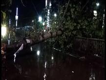 ঘণ্টায় ৯৮ কিলোমিটার বেগে ঝড়, কালবৈশাখীর তাণ্ডবে লণ্ডভণ্ড কলকাতা সহ দক্ষিণবঙ্গ, মৃত ১২