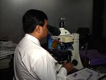 ভাগাড়ের মাংস কাণ্ড: গ্রেফতার নারকেলডাঙার হিমঘরের মালিক বিশ্বনাথ ওরফে বিশু