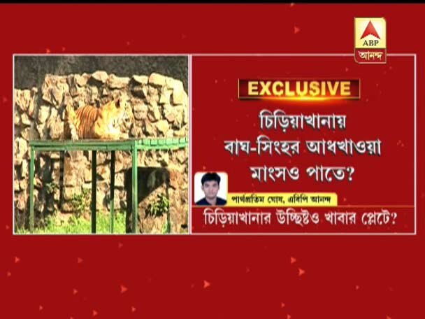 Where are the extracts of zoo meat is going, mystery begins চিড়িয়াখানার বাঘ-সিংহ-হায়নার উচ্ছিষ্ট মাংসও পৌঁছচ্ছে খাবারের প্লেটে? দানা বাঁধছে রহস্য