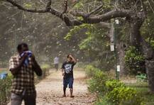 চণ্ডীগড়ে প্রচণ্ড বৃষ্টি, উচ্চ পর্যায়ের সতর্কতা জারি পঞ্জাব ও হরিয়ানায়, রাজস্থান, উত্তর প্রদেশে আমচাষের ব্যাপক ক্ষতি