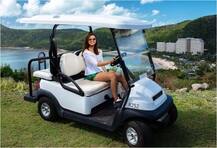 অস্ট্রেলিয়ায় সমুদ্র সৈকতে পরিণীতি চোপড়ার রান্না, আর কী করলেন তিনি দেখুন