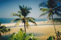 ভারতের এই সুন্দর সমুদ্র সৈকতগুলি দেখেছেন? ব্যাগ গুছিয়ে বেড়িয়ে পড়তে পারেন