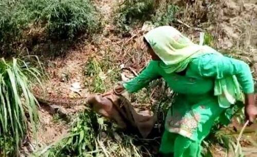 উত্তরপ্রদেশের মেরঠের সিনা গ্রামের বাসিন্দা সইদা ১০ ফুট লম্বা একটি অজগরের সঙ্গে লড়াই করে সাপটিকে বন্দি করেছেন