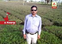 মৃত প্রিসাইডিং অফিসারের স্ত্রীকে চাকরি, পরিবারকে ৫ লক্ষ টাকা, নিহত ১৪ জনের পরিবারকে আর্থিক সহায়তা রাজ্যের