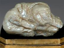 বিশ্বের সব থেকে বড় পুকুরছেঁচা মুক্তো নিলামে উঠল নেদারল্যান্ডসে