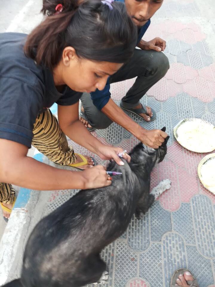 ভবিষ্যতে ফের টিকাকরণ শিবিরের আয়োজন করা হবে বলে জানিয়েছেন এই সংগঠনের সদস্যরা